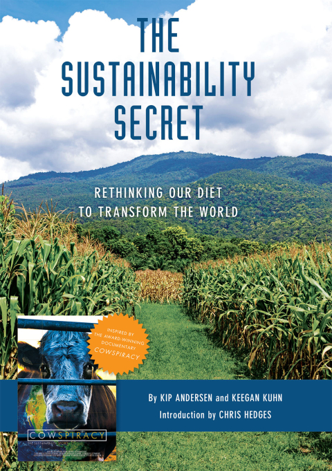 Cover image for book The Sustainability Secret