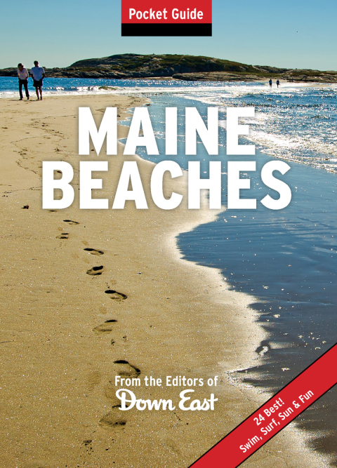 Cover image for book Maine Beaches