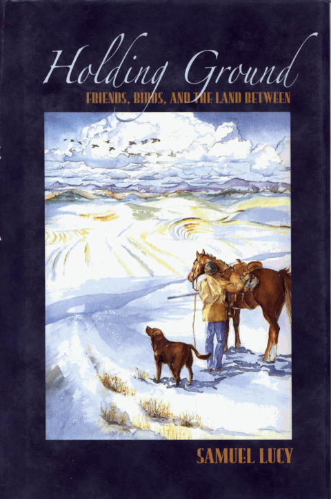 Cover image for book Holding Ground