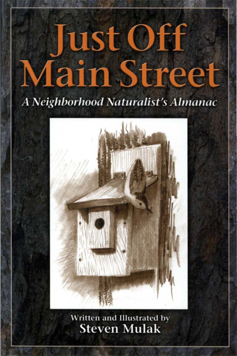 Cover image for book Just Off Main Street