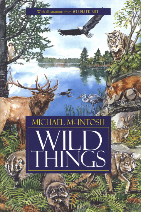 Cover image for book Wild Things
