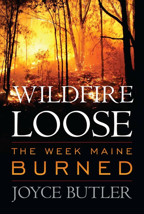 Cover image for book Wildfire Loose