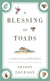 Cover image: A Blessing of Toads 9781608933594