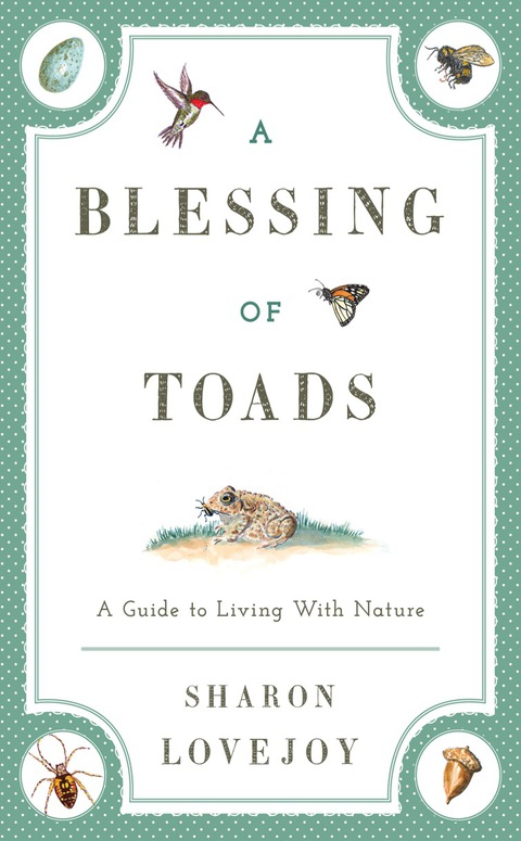 Cover image for book A Blessing of Toads
