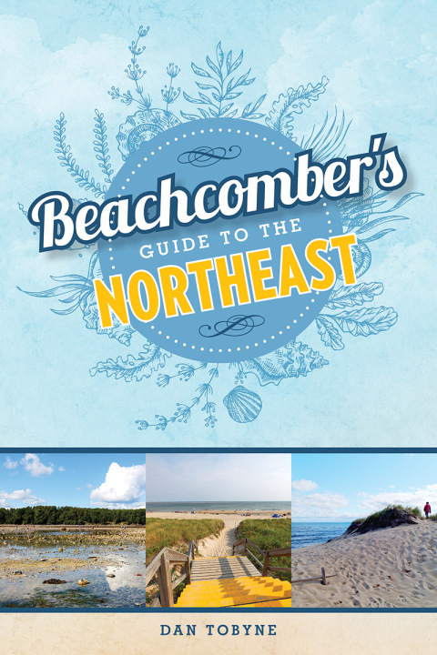 Cover image for book Beachcomber's Guide to the Northeast