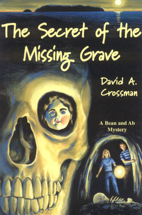 Cover image for book The Secret of the Missing Grave
