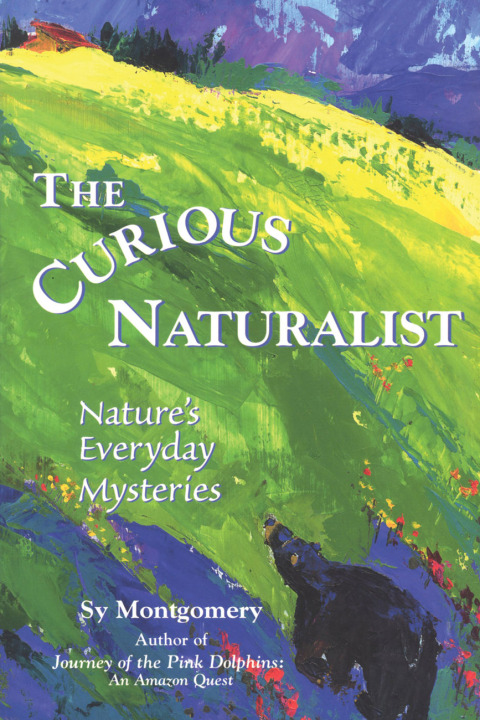 Cover image for book The Curious Naturalist