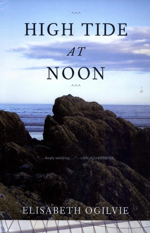 Cover image for book High Tide at Noon