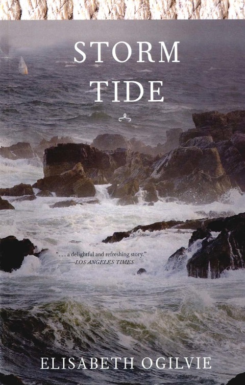 Cover image for book Storm Tide