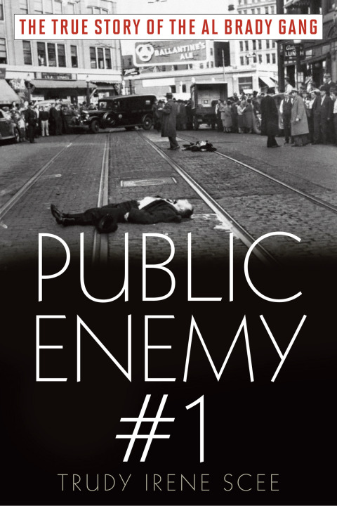 Cover image for book Public Enemy Number One