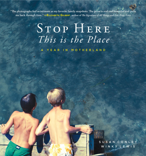 Cover image for book Stop Here, This is the Place