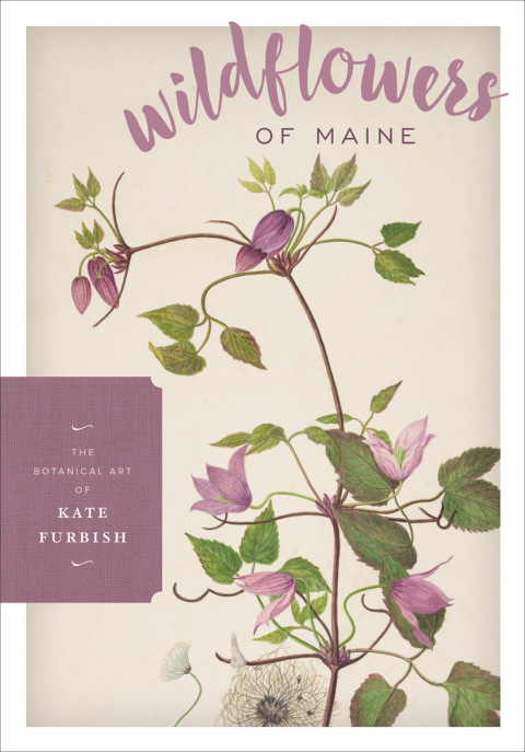 Cover image for book Wildflowers of Maine