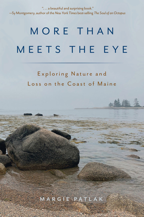 Cover image for book More Than Meets the Eye