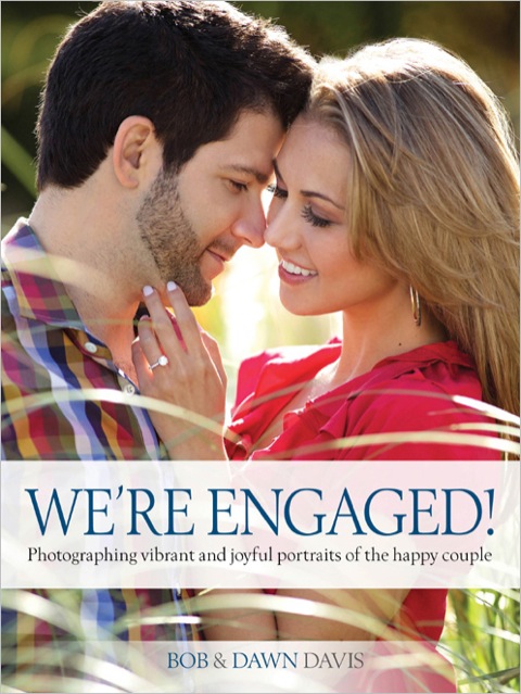Cover image for book We're Engaged!