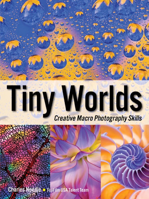 Cover image for book Tiny Worlds