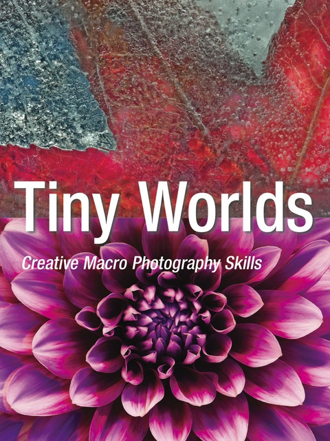 Cover image for book Tiny Worlds