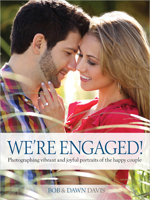 Cover image for book We're Engaged!
