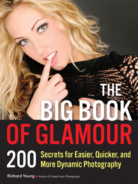 Cover image for book The Big Book of Glamour