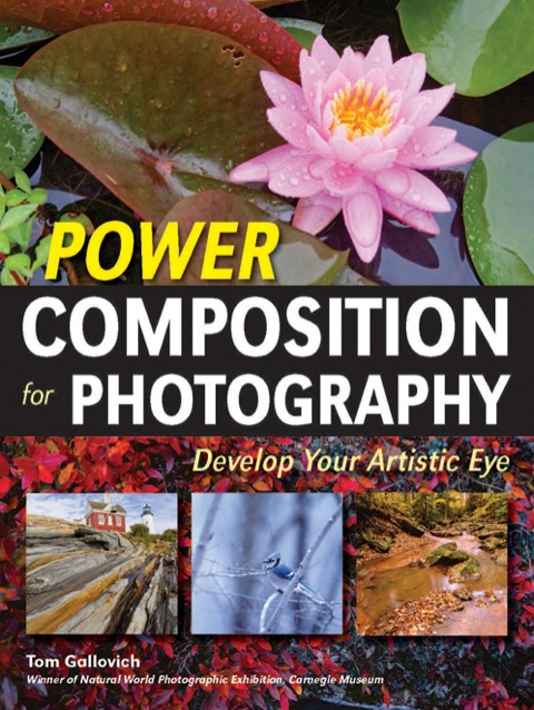 Cover image for book Power Composition for Photography