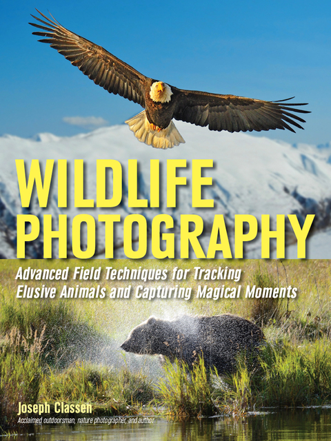 Cover image for book Wildlife Photography