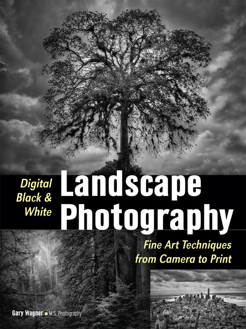 Cover image for book Digital Black & White Landscape Photography
