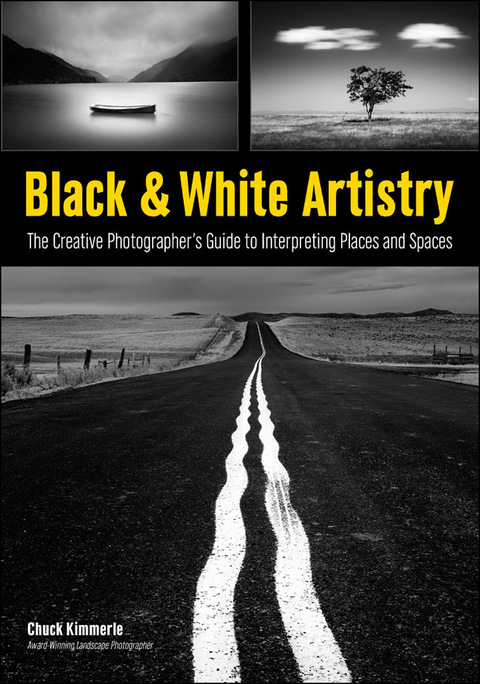 Cover image for book Black & White Artistry