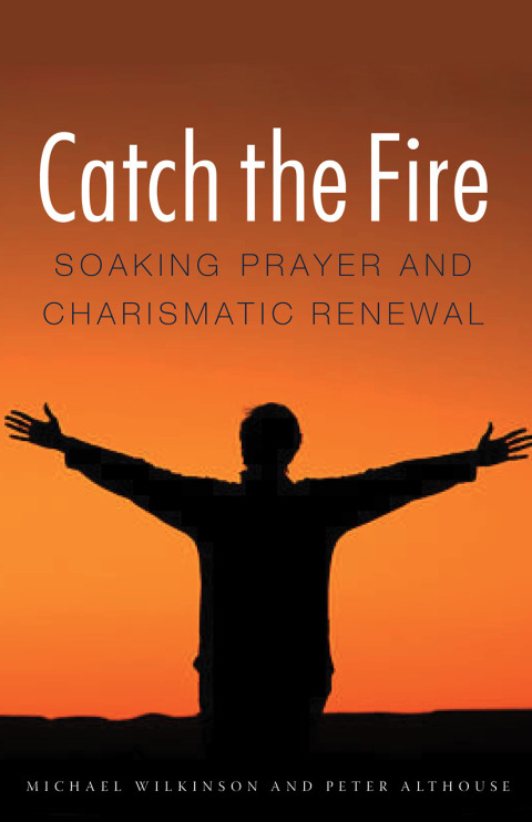 Cover image for book Catch the Fire