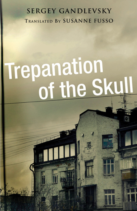Cover image for book Trepanation of the Skull