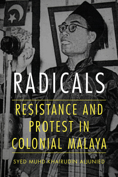 Cover image for book Radicals