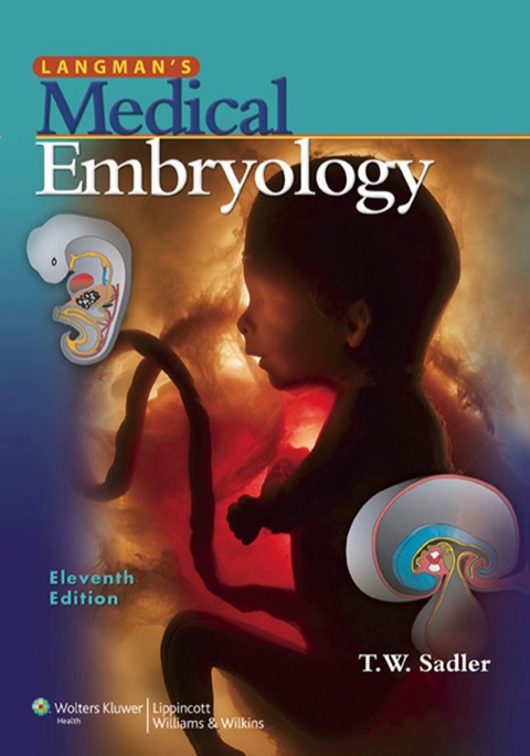 Cover image for book Langman's Medical Embryology