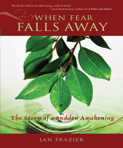 Cover image for book When Fear Falls Away