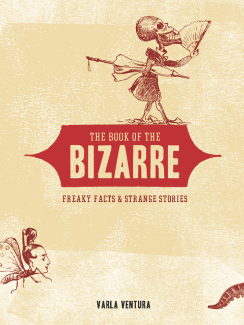 Cover image for book The Book of the Bizarre