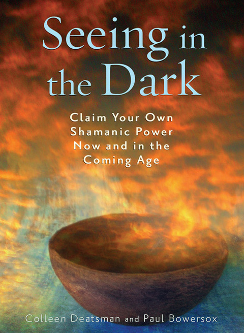 Cover image for book Seeing in the Dark