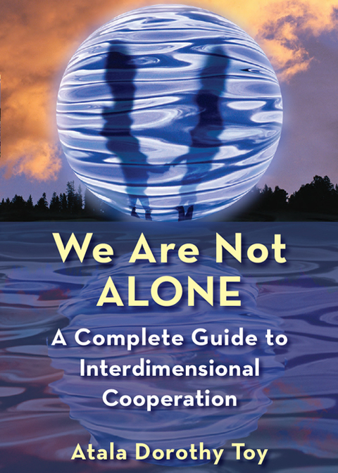 Cover image for book We Are Not Alone