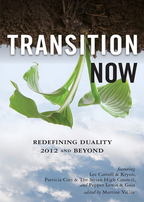 Cover image for book Transition Now