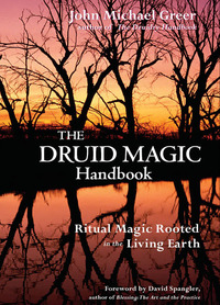 Cover image: The Druid Magic Handbook 9781578633975