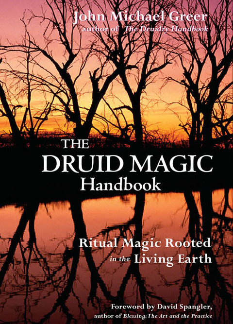 Cover image for book The Druid Magic Handbook