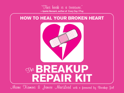 Cover image for book The Breakup Repair Kit