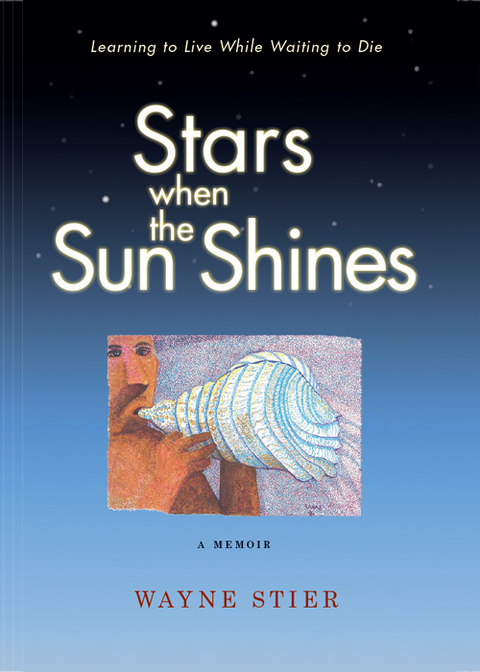 Cover image for book Stars When the Sun Shines