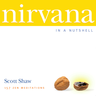 Nirvana in a Nutshell
