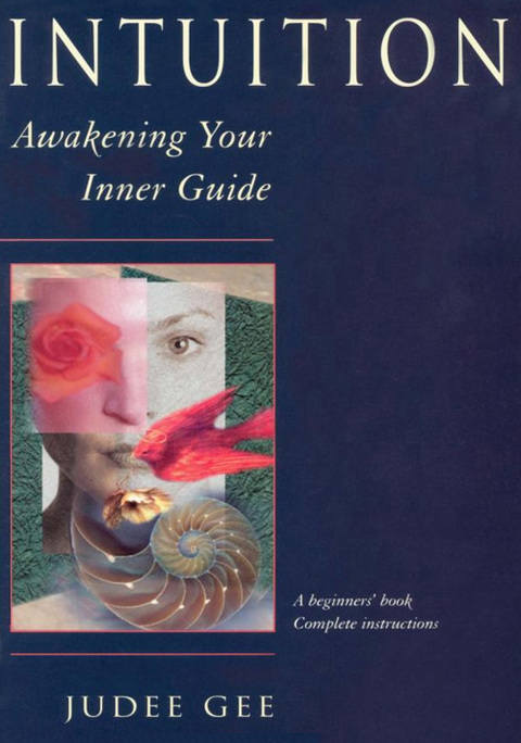 Cover image for book Intuition