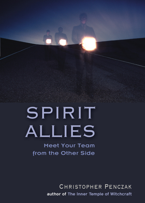Cover image for book Spirit Allies