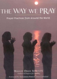 Cover image: The Way We Pray 9781573245715