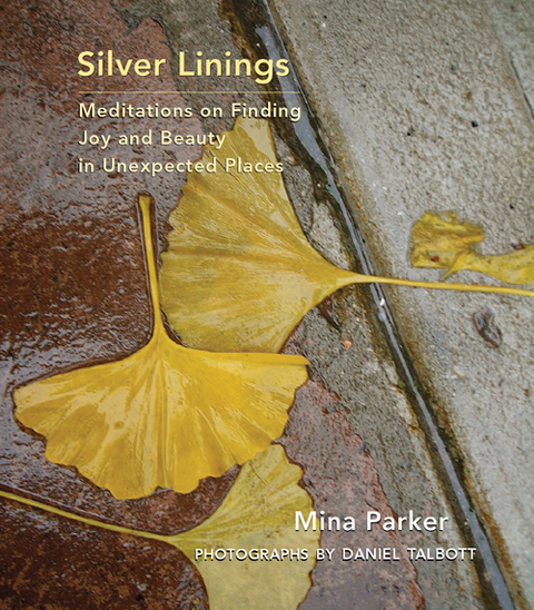 Cover image for book Silver Linings