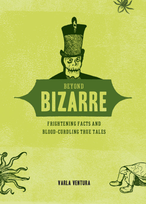 Cover image for book Beyond Bizarre