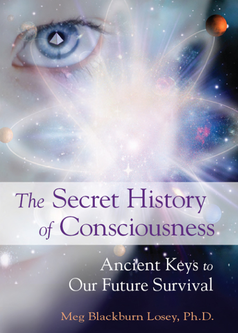 Cover image for book The Secret History of Consciousness