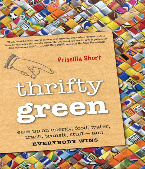Cover image for book Thrifty Green