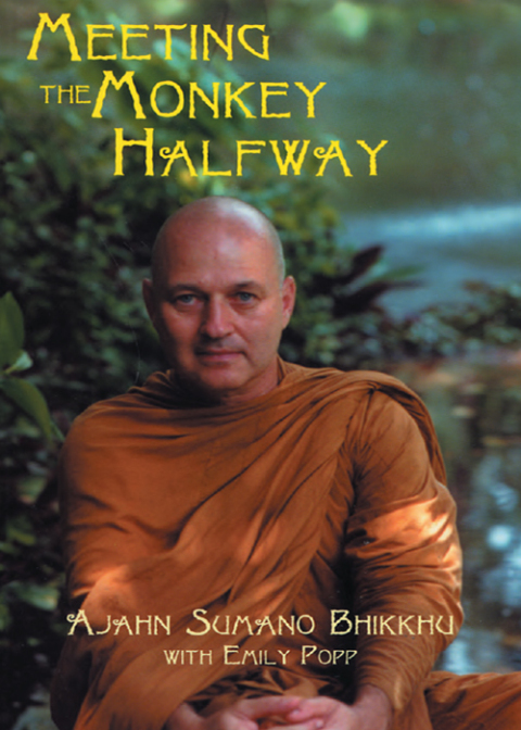 Cover image for book Meeting the Monkey Halfway