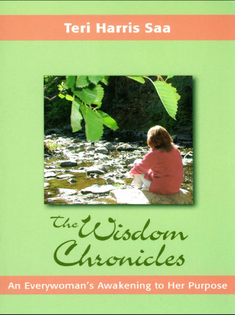 Cover image for book The Wisdom Chronicles