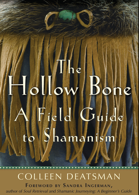 Cover image for book The Hollow Bone